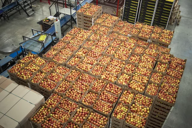 agroalimentaire