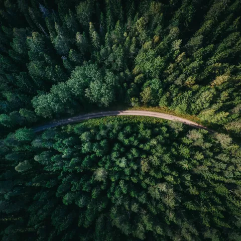 Image of 9% reduction in climate impact thanks to the Smart Driving Challenge